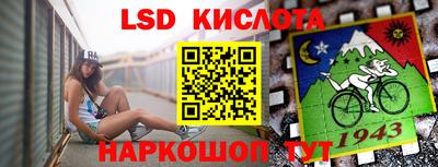 прущие грибы Заволжье