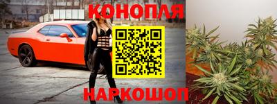 прущие грибы Заволжье