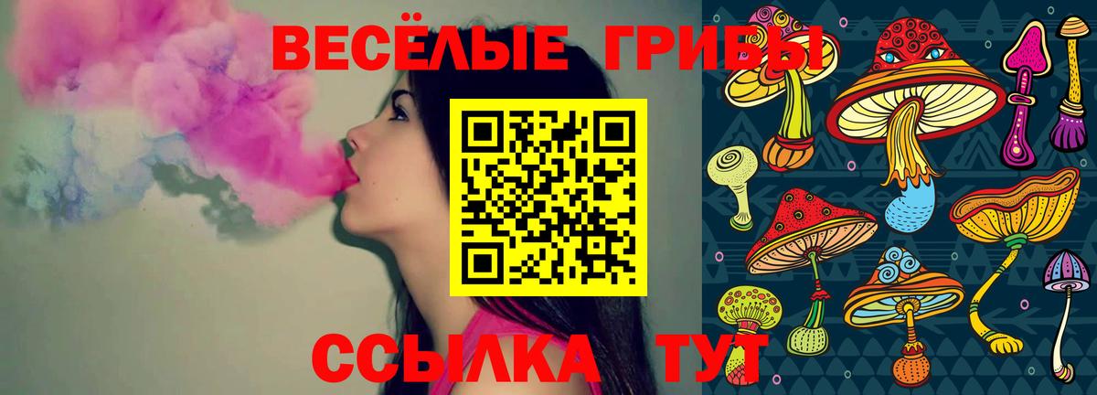 где продают наркотики  Псилоцибиновые грибы GOLDEN TEACHER  Вход с VPN  Долгопрудный 